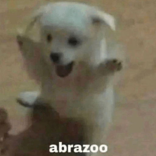 🐕•🐾Perritos🐾•🐕 12