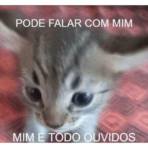 Gatinhos 2