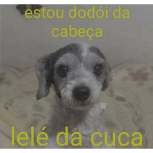 Gatinhos 3