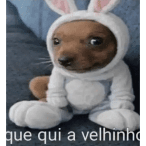 La elly 11
