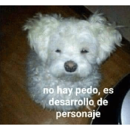 XDD 7