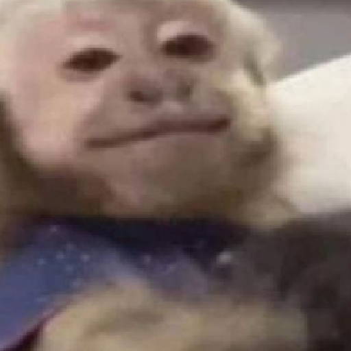 Monkeys monki macaquinhos 9 20