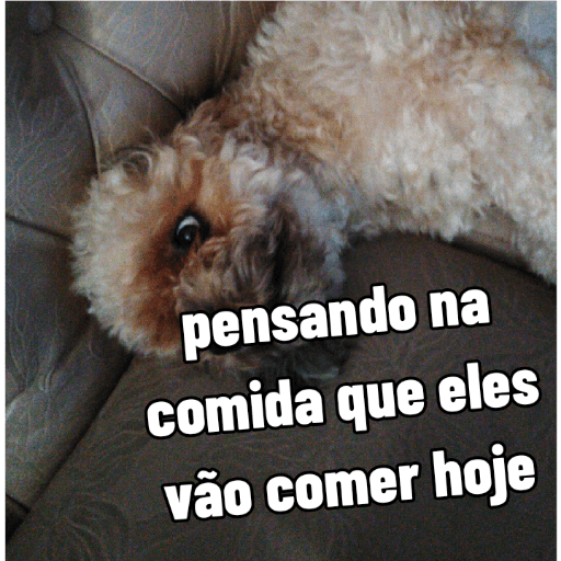 Bella It papai 3