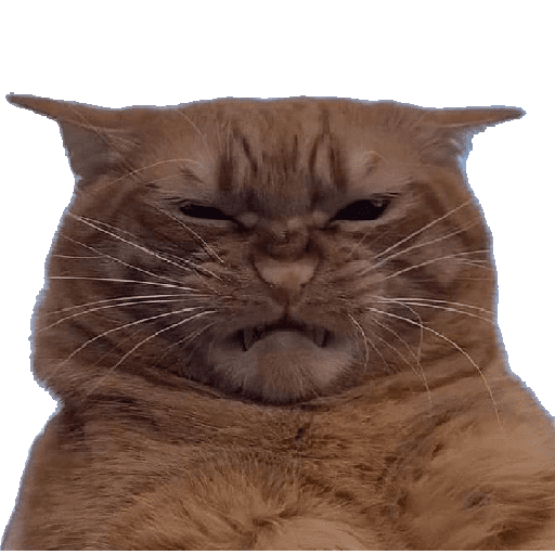 Gato rabugento