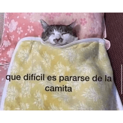 Animalillos Chidos🙈 1