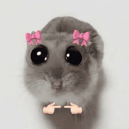 Hamster 🎀 12