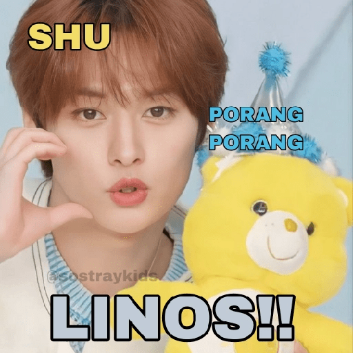 Só Stray Kids - Pack 10 17
