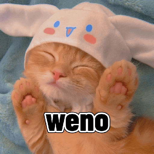 Gatitos tiernos 29