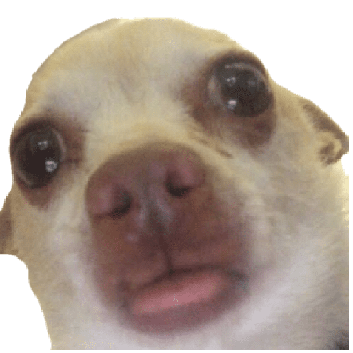 Olhos de cachorro
