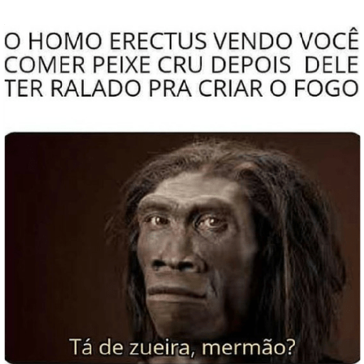 Aleatório 2