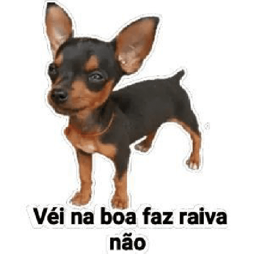 #memes 22