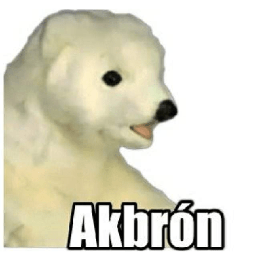 XDD 11