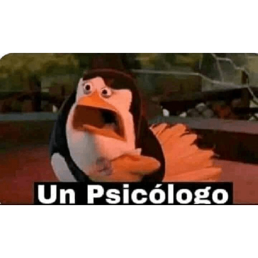 XD? 12