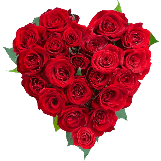 Phool 16