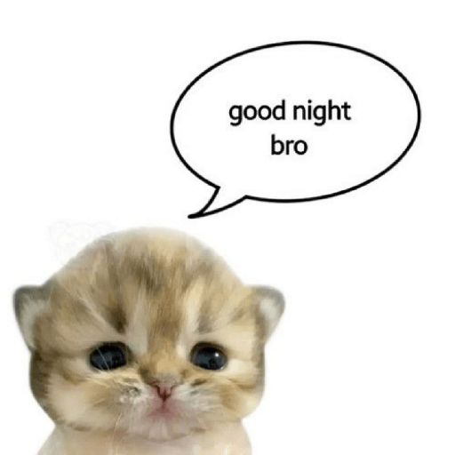 Kucing 2