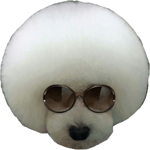 Perritos 17