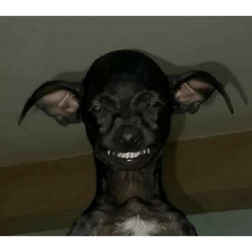 Aleatório 6