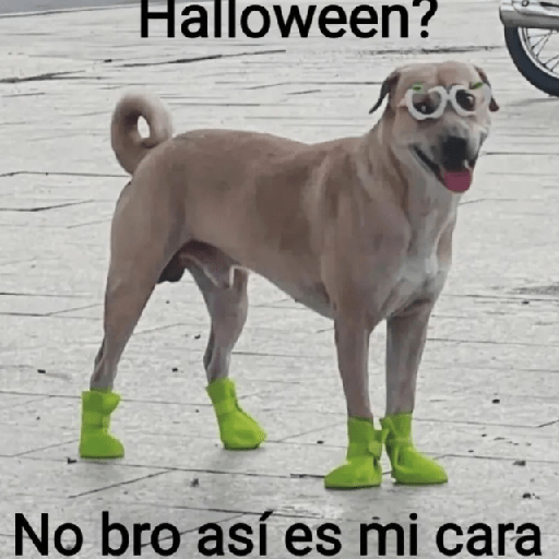 Mix Shitpost 😎🤙 2 13