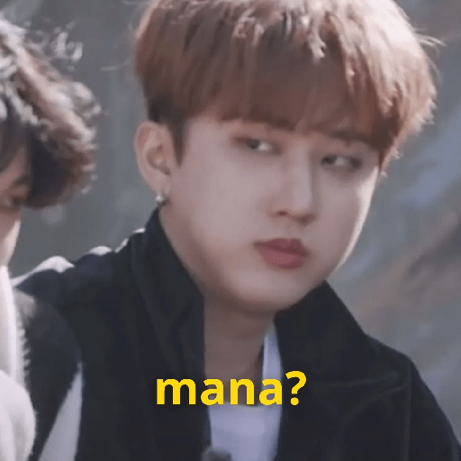StrayKidsMaterial SKZ  3