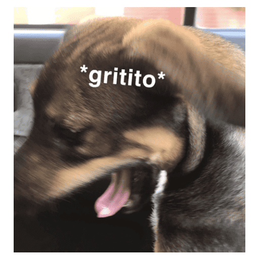 Random cursed funny shitpost 13