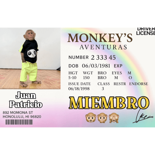 Monkey aventuras 🐒💓 7