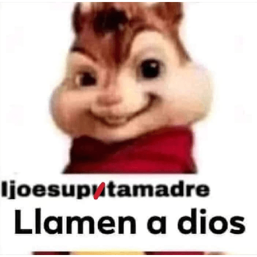 XDD 20