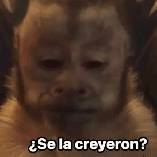 Memes 49 12