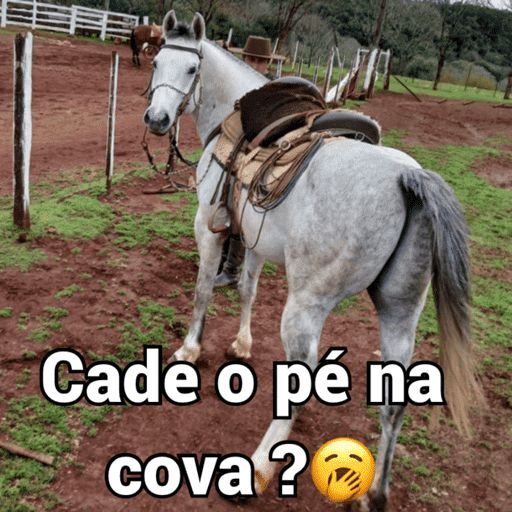Minhas figurinhas 19