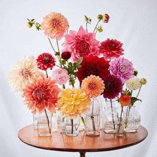 Phool 22