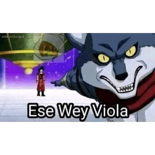 XDD 14