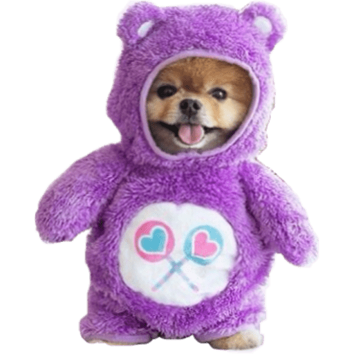 Perritos 18