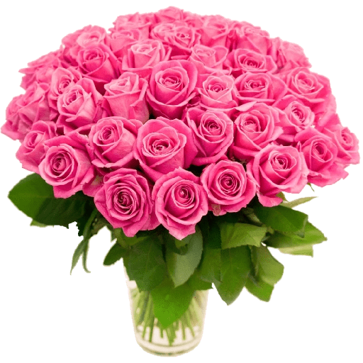Phool 17