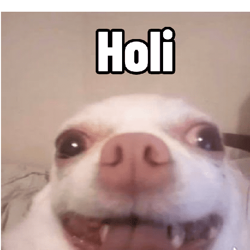 Holi oi