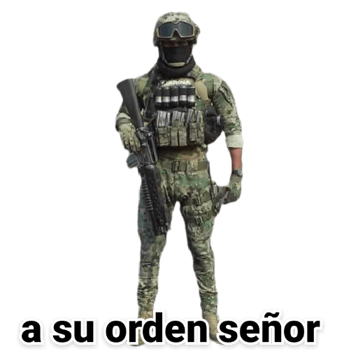 Militares 9