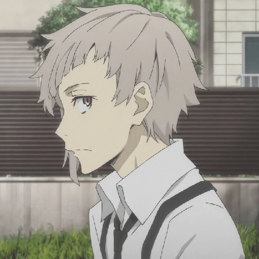 Bungou stray Dogs 20