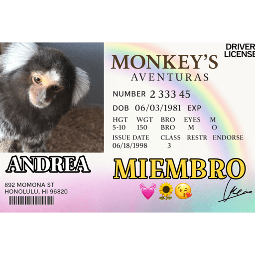 Monkey aventuras 🐒💓 3