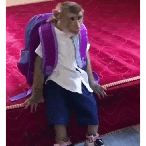 Monos 5