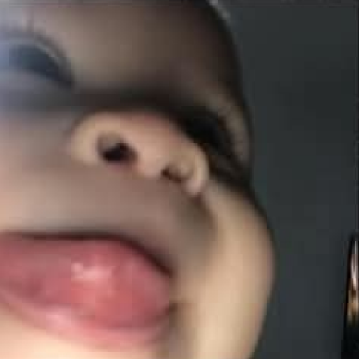 Memes 66 29