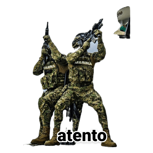 Militares 8
