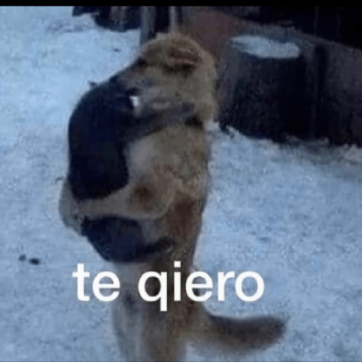 Amorcito 1