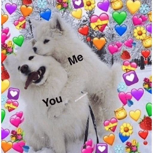 Samoyed meme cute 14
