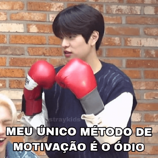 Só Stray Kids - Pack 10 22