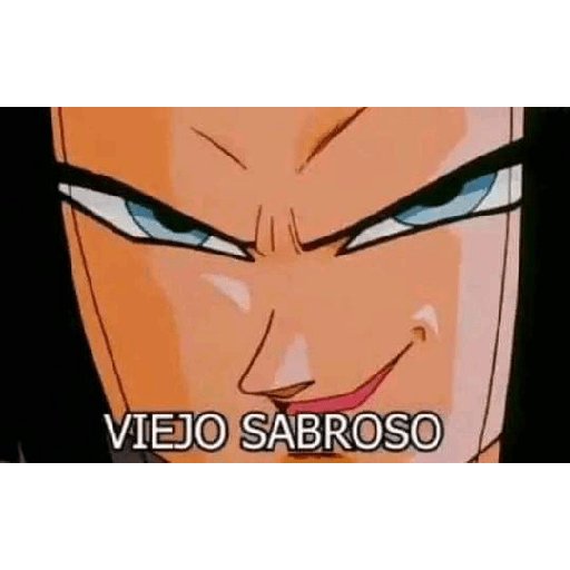 XDD 13