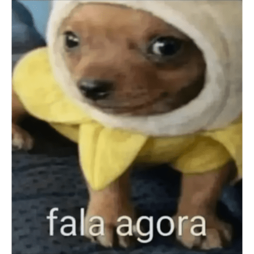 La elly 9