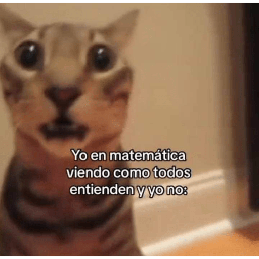 Animalillos Chidos🙈 10