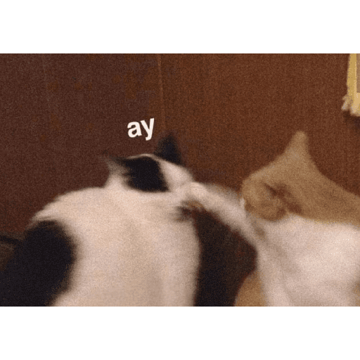 Animales Mensos 2.0 7