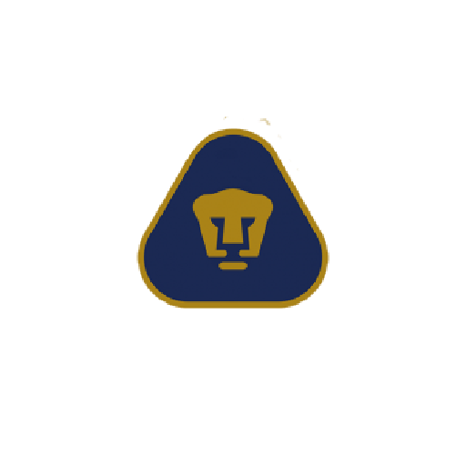 América  15