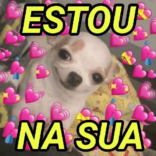CASAL 10/10 10