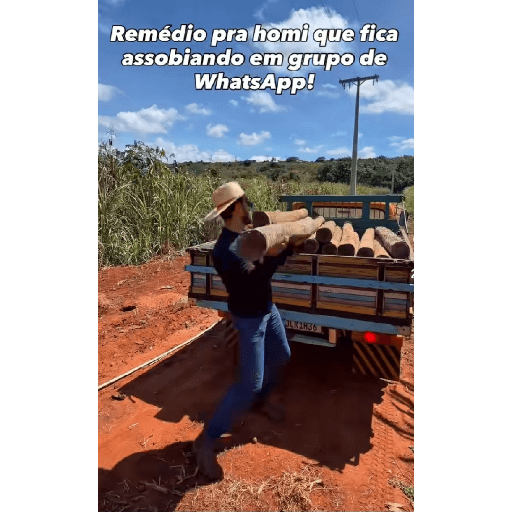 Novos 14
