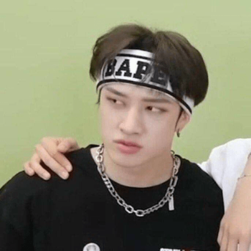 Stray kids.29 8